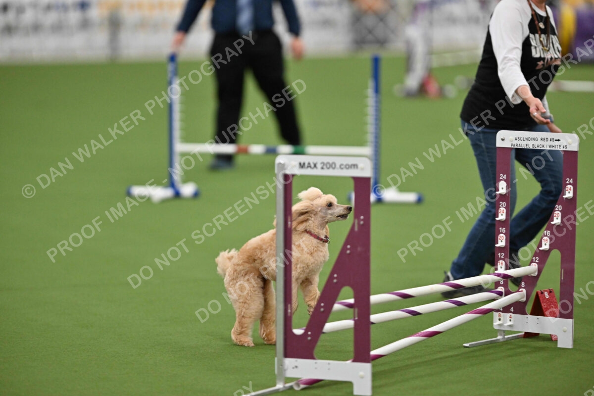 MAS-EX-STD-12-Inch_5770