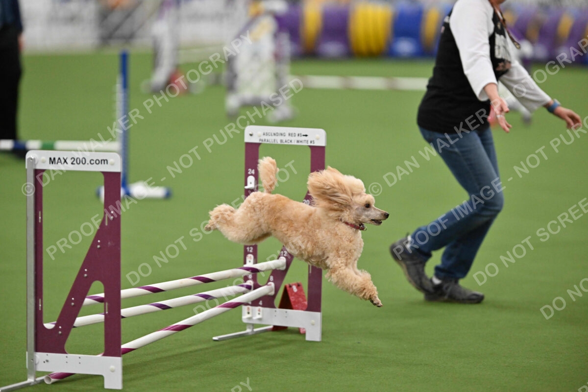 MAS-EX-STD-12-Inch_5776