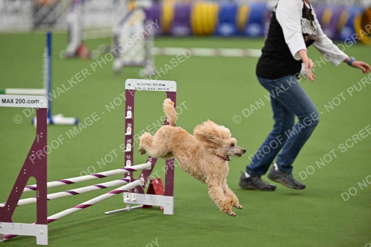 MAS-EX-STD-12-Inch_5777