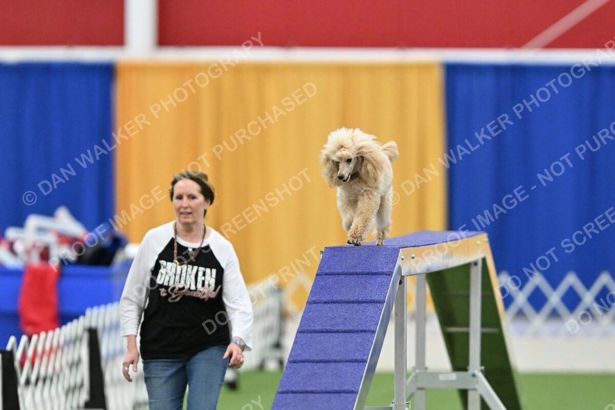 MAS-EX-STD-12-Inch_5779