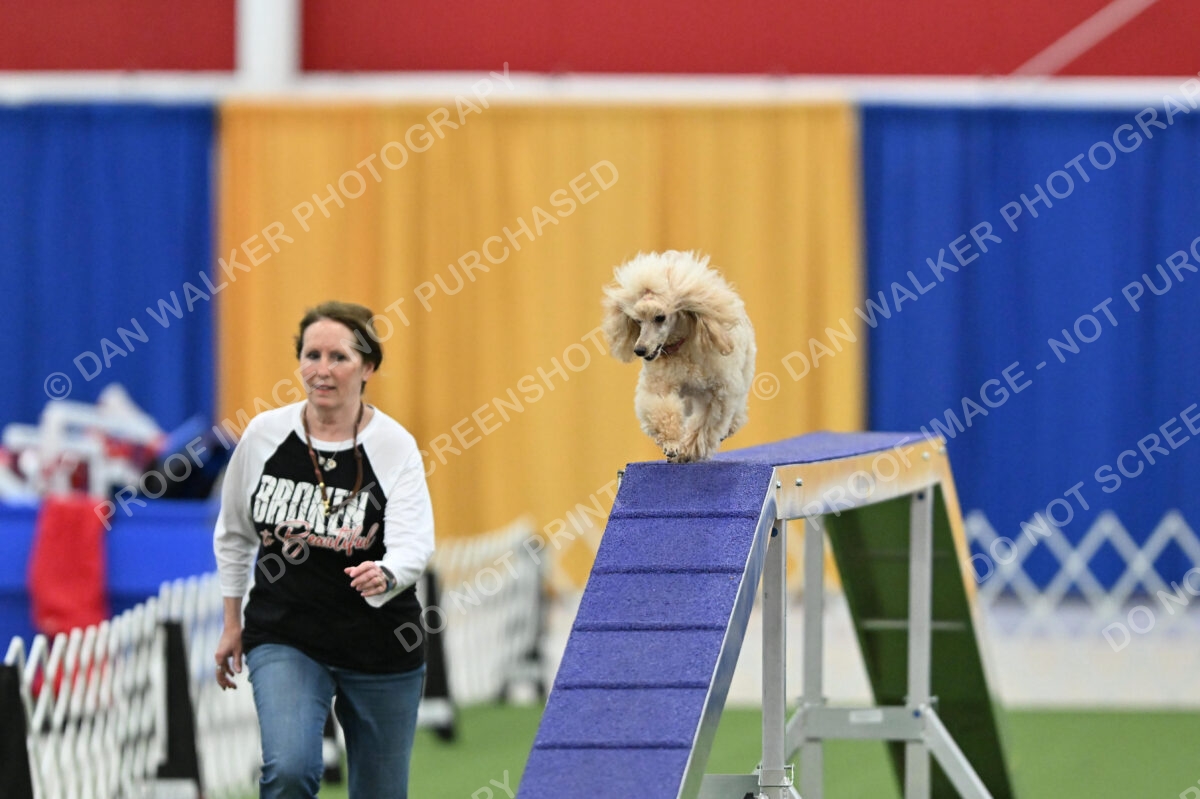 MAS-EX-STD-12-Inch_5781