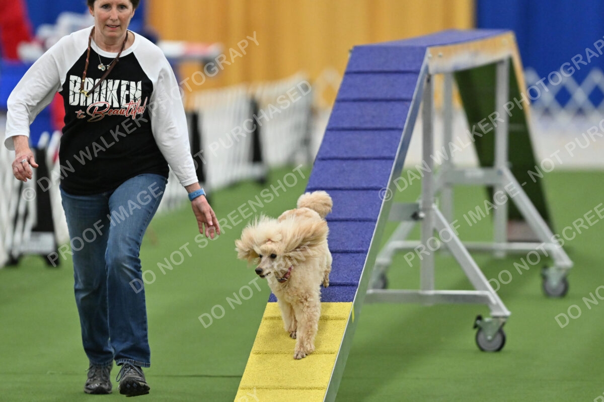 MAS-EX-STD-12-Inch_5786