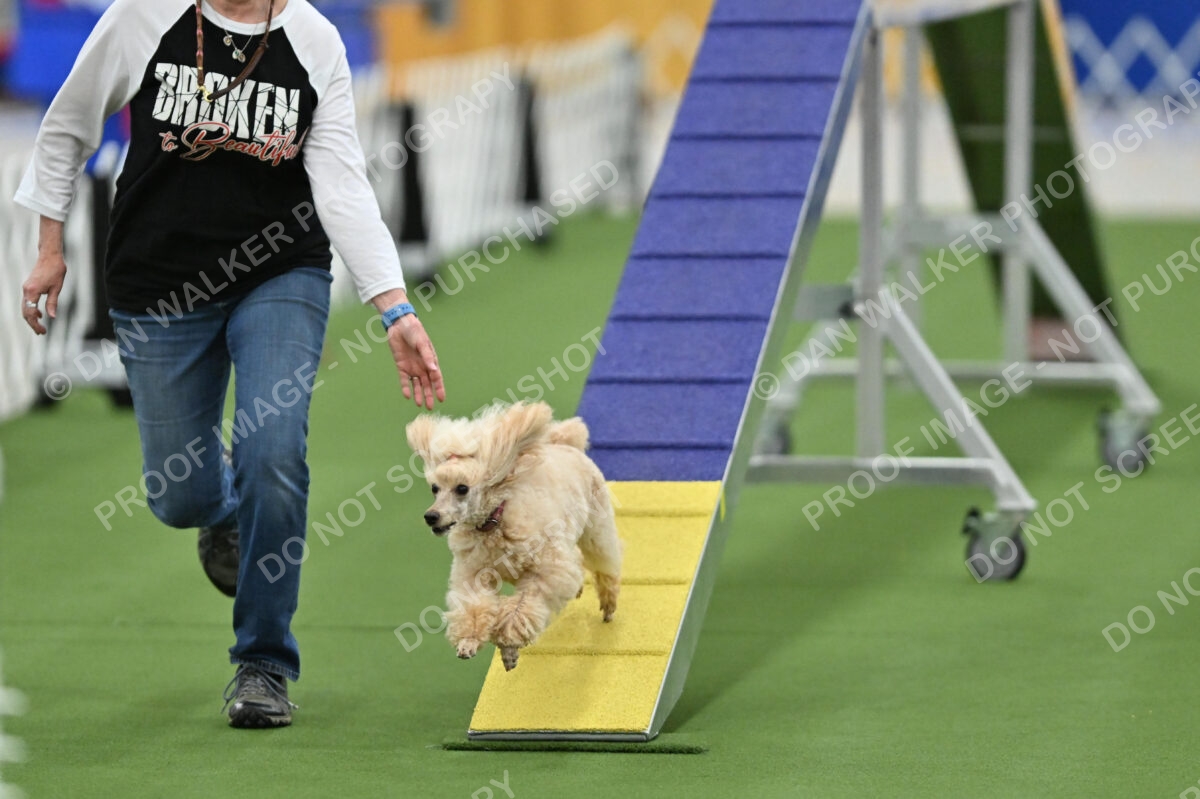 MAS-EX-STD-12-Inch_5788