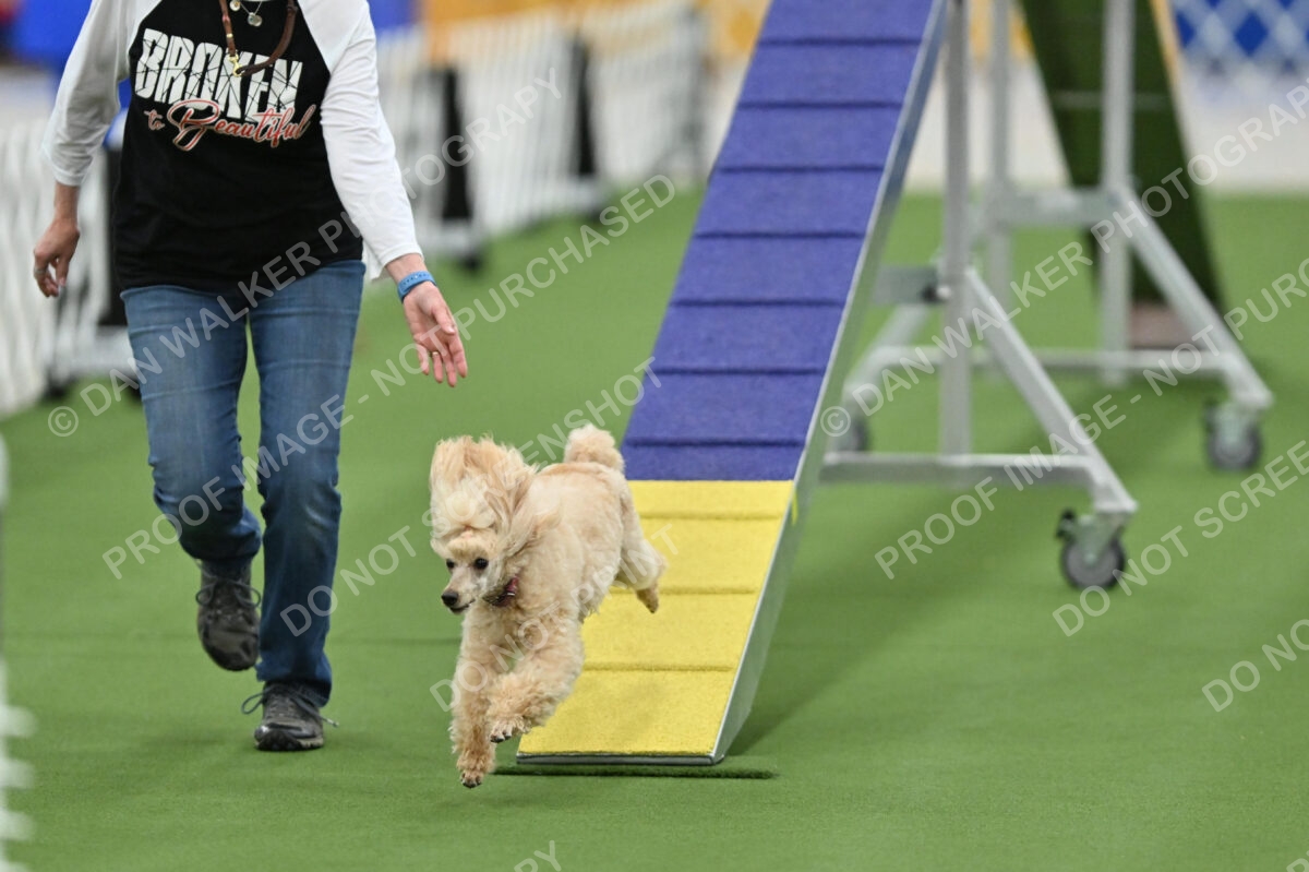 MAS-EX-STD-12-Inch_5789