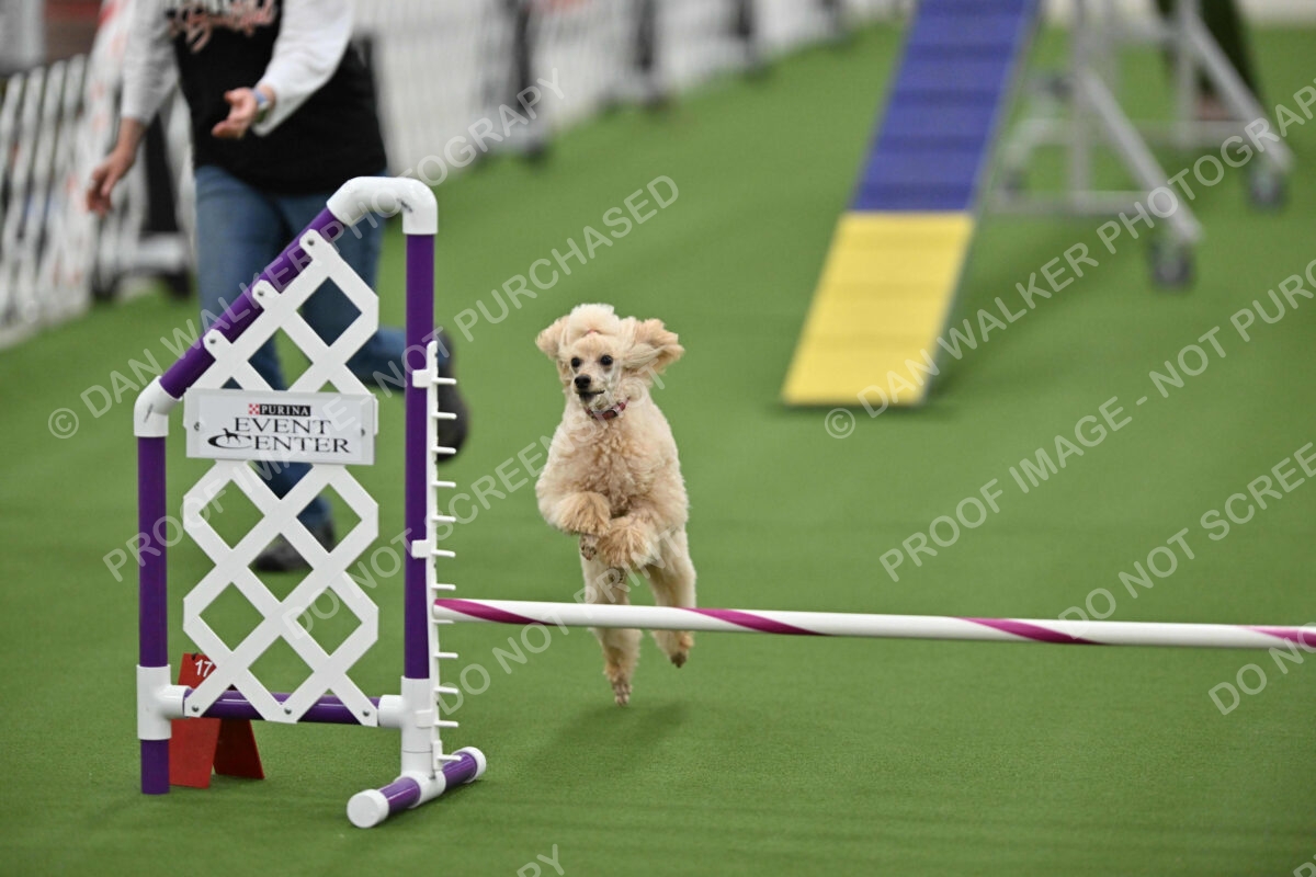 MAS-EX-STD-12-Inch_5791