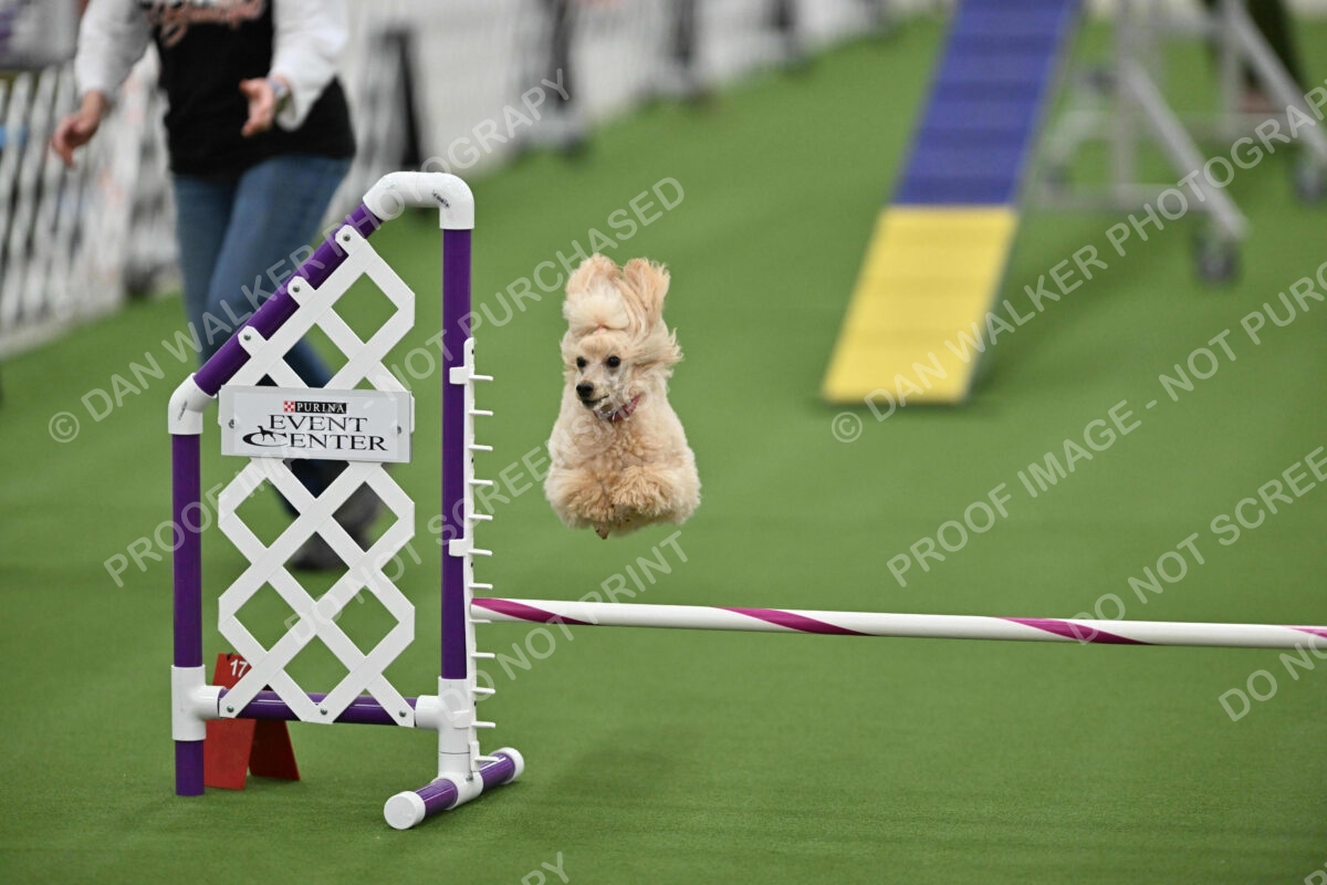 MAS-EX-STD-12-Inch_5793