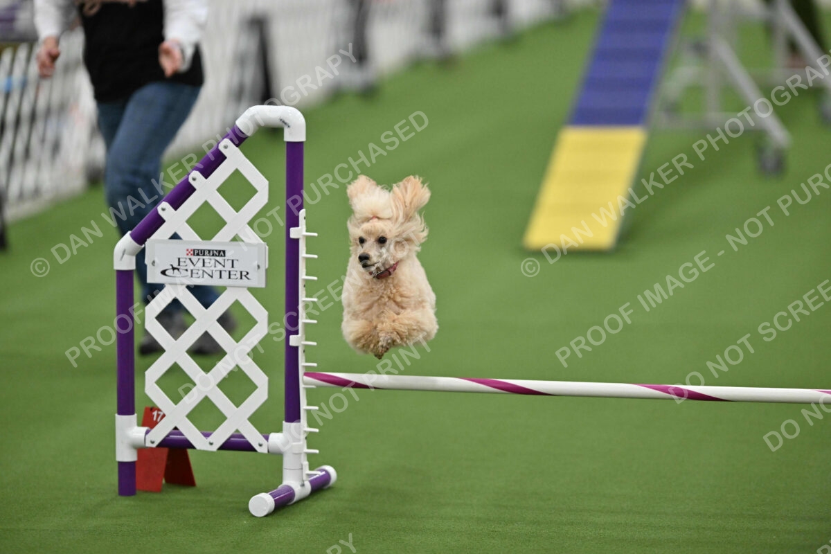 MAS-EX-STD-12-Inch_5794