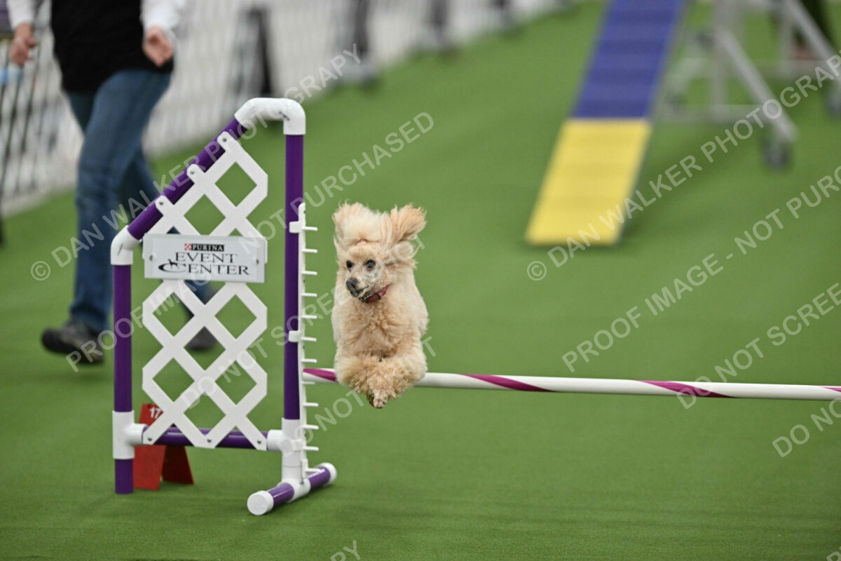 MAS-EX-STD-12-Inch_5795