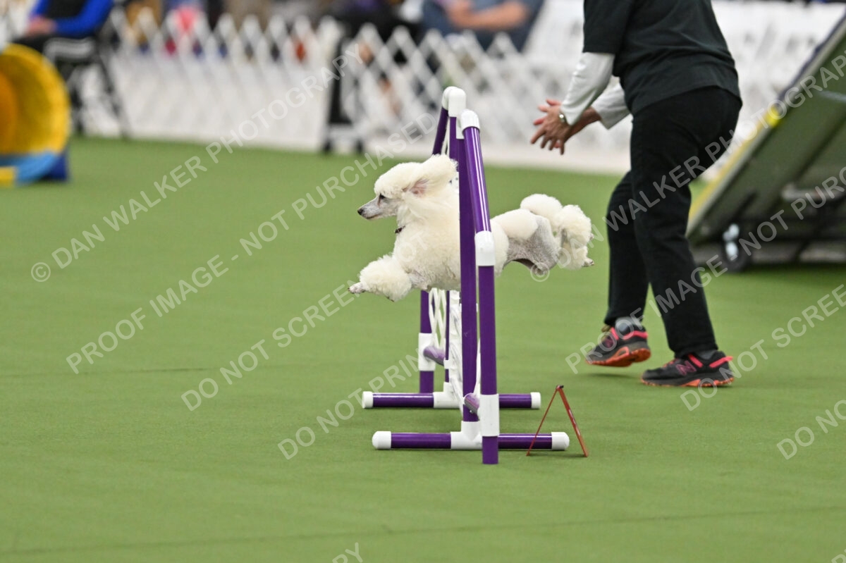 MAS-EX-STD-12-Inch_5804