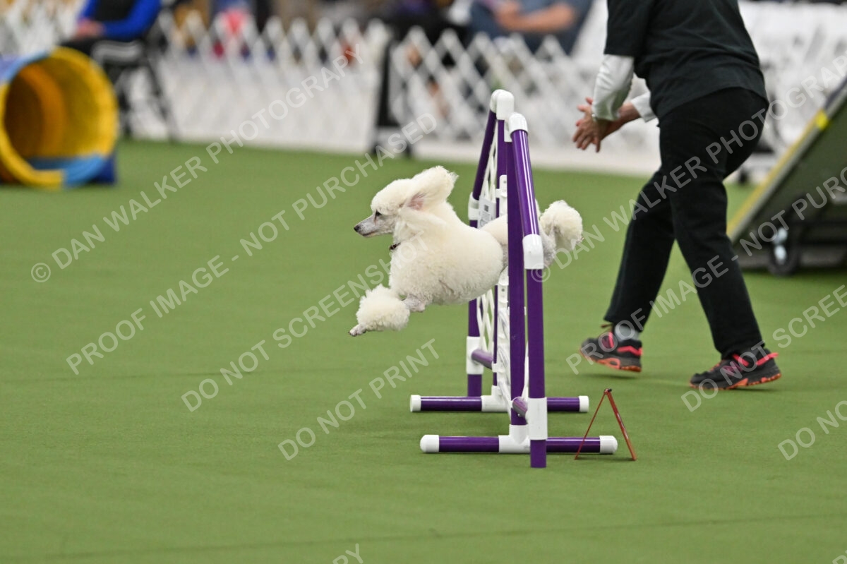 MAS-EX-STD-12-Inch_5805