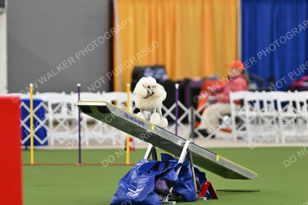 MAS-EX-STD-12-Inch_5806