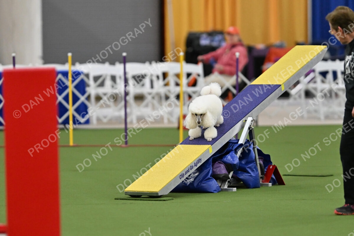 MAS-EX-STD-12-Inch_5812