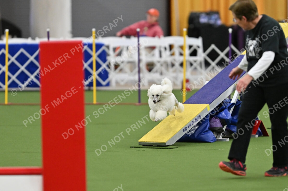 MAS-EX-STD-12-Inch_5818