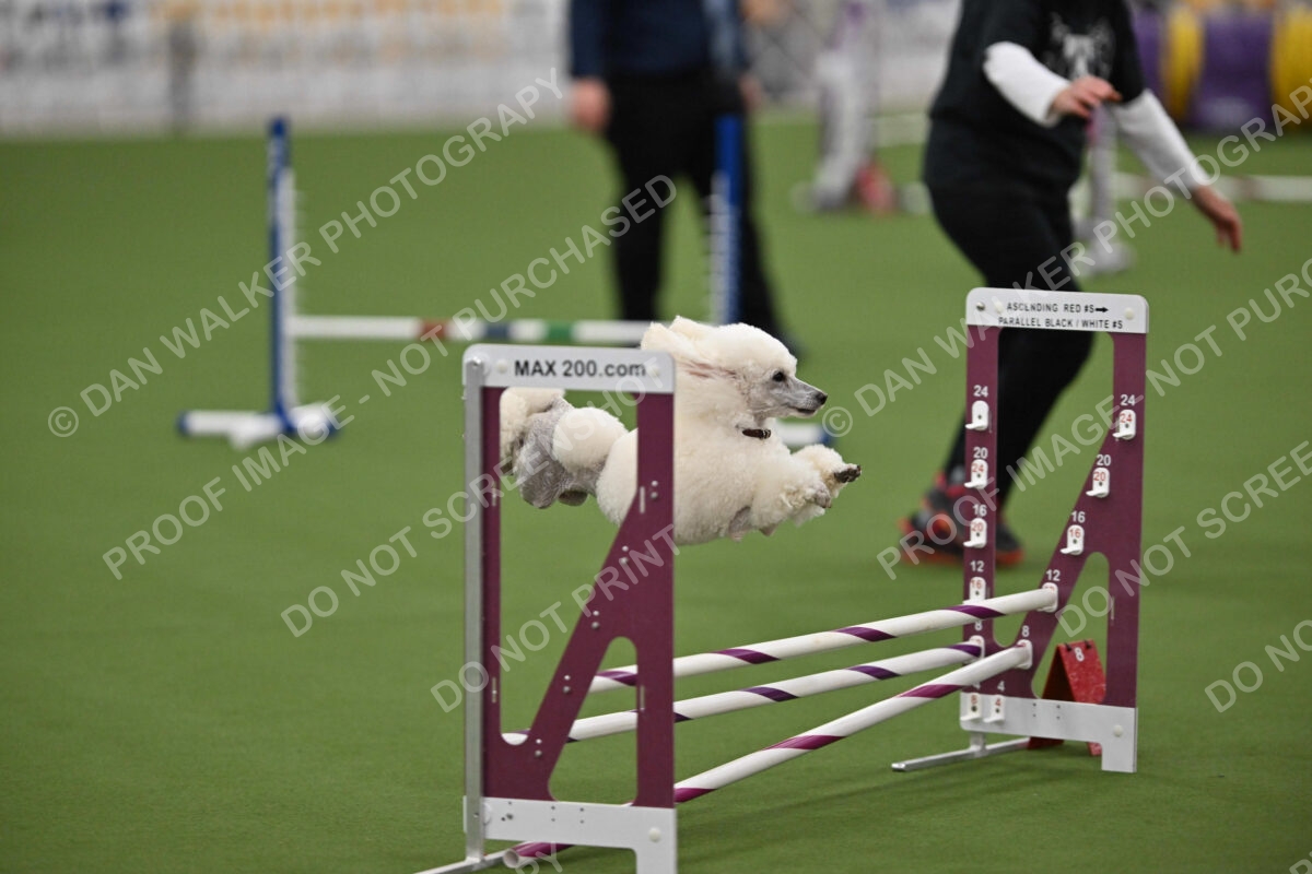 MAS-EX-STD-12-Inch_5831