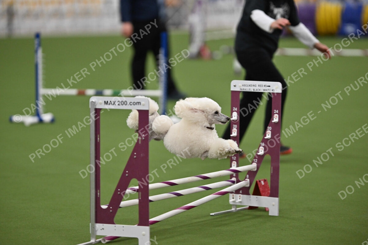 MAS-EX-STD-12-Inch_5832