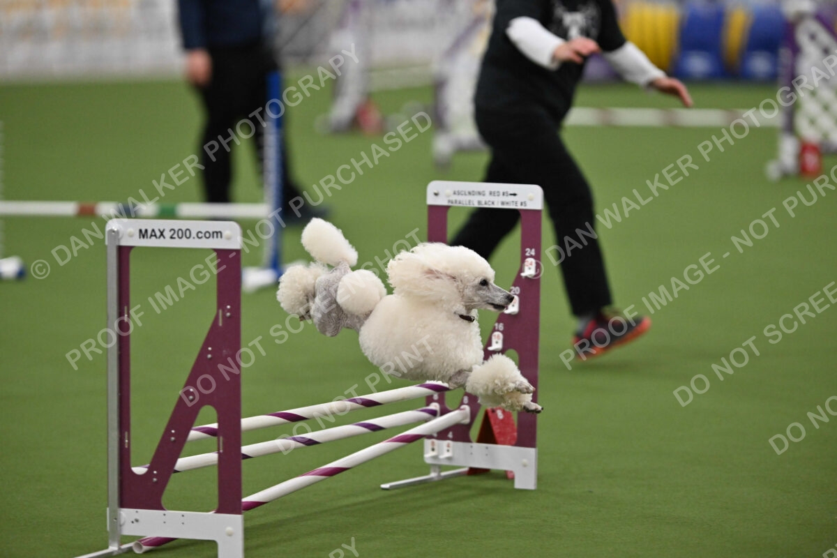 MAS-EX-STD-12-Inch_5833