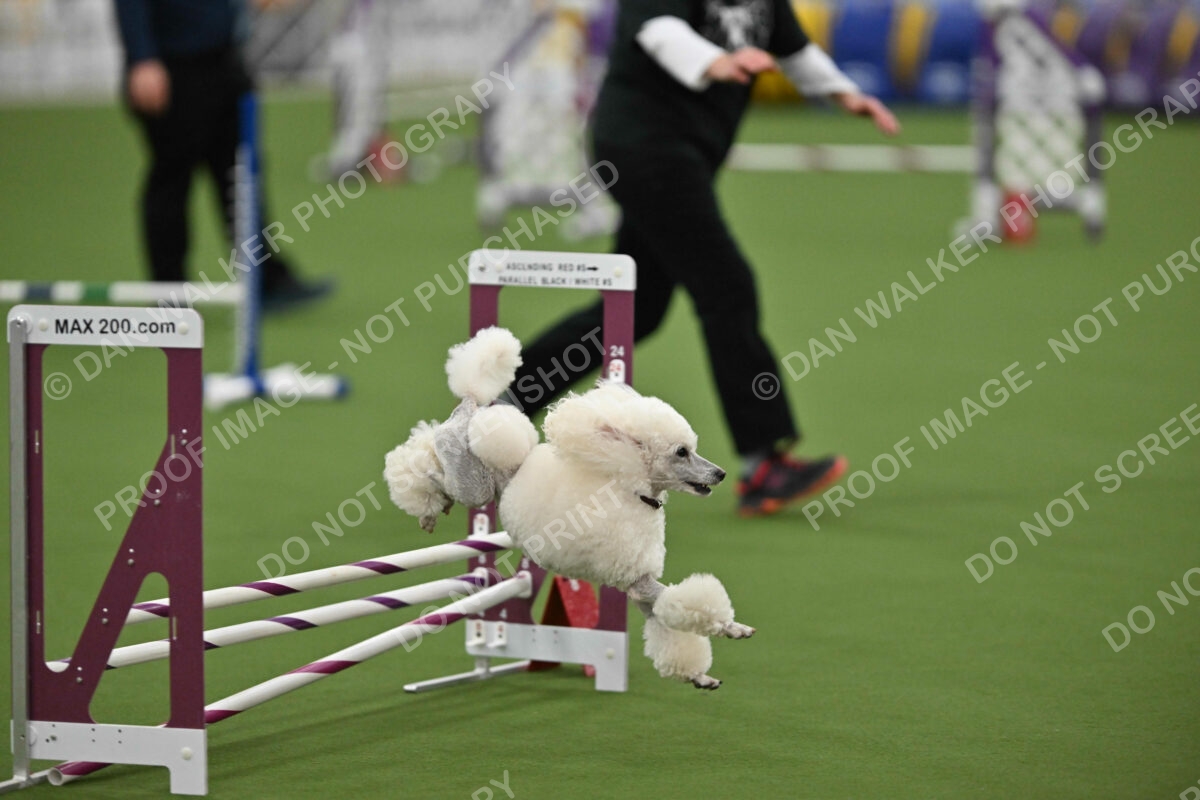 MAS-EX-STD-12-Inch_5834