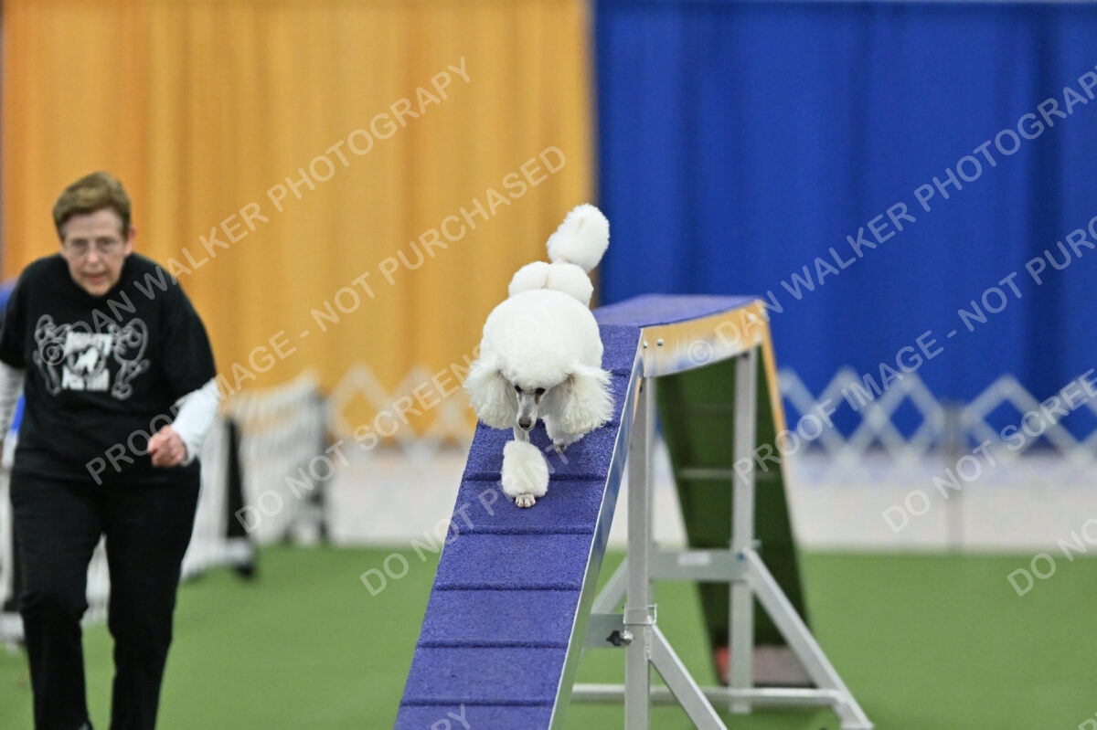 MAS-EX-STD-12-Inch_5835