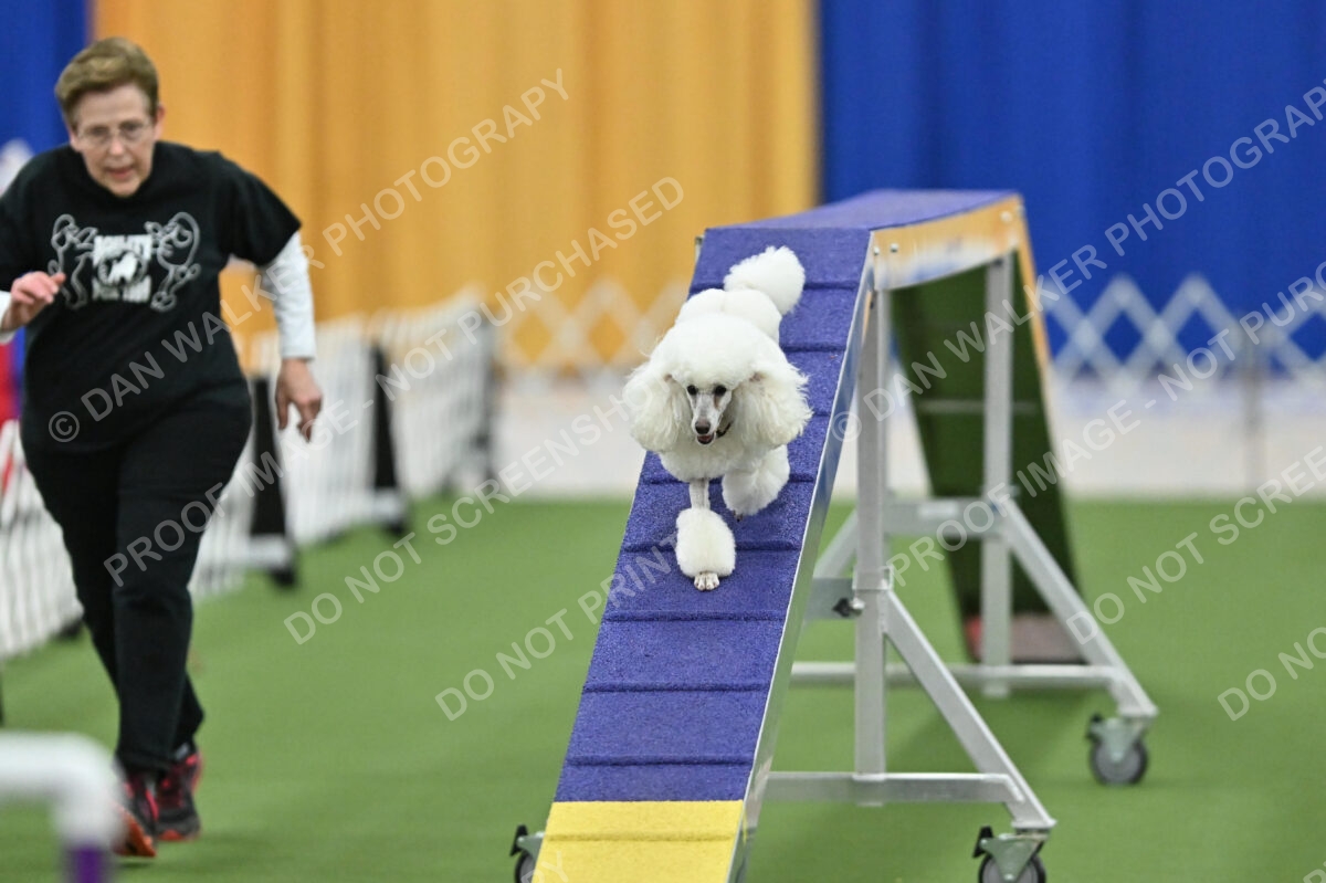 MAS-EX-STD-12-Inch_5838