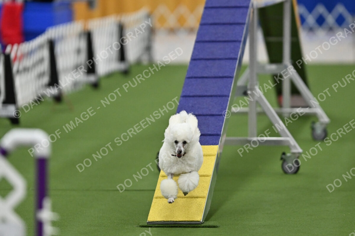 MAS-EX-STD-12-Inch_5844