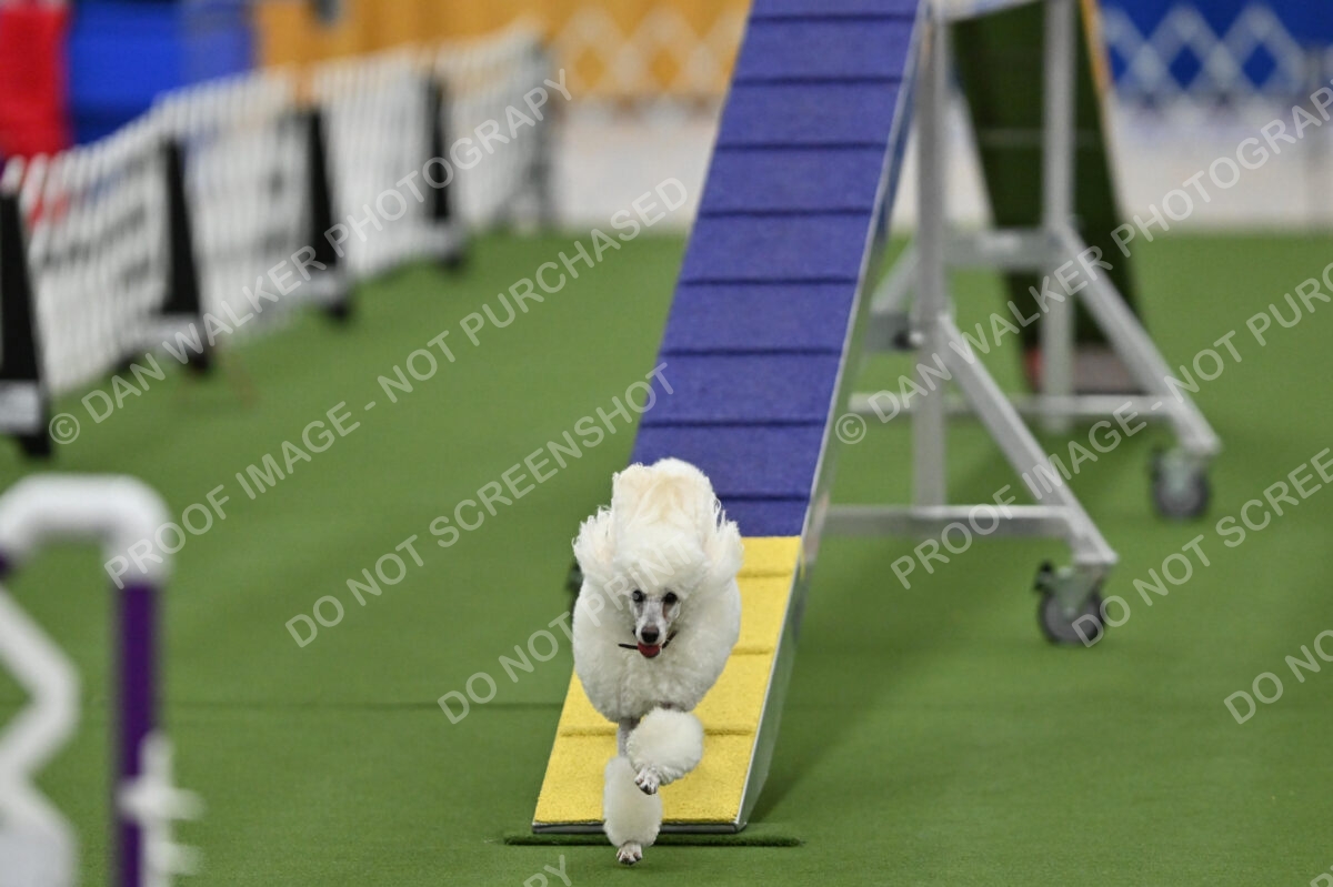 MAS-EX-STD-12-Inch_5845