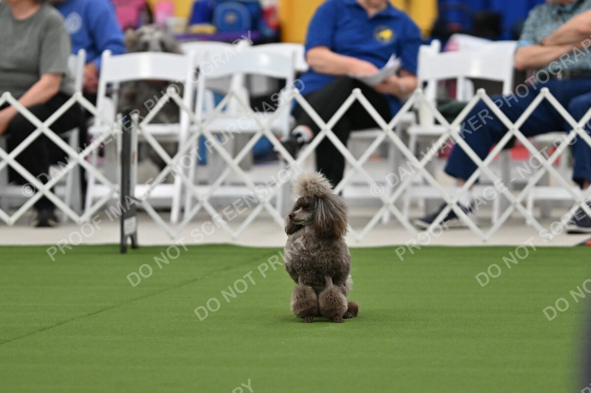 MAS-EX-STD-12-Inch_5854