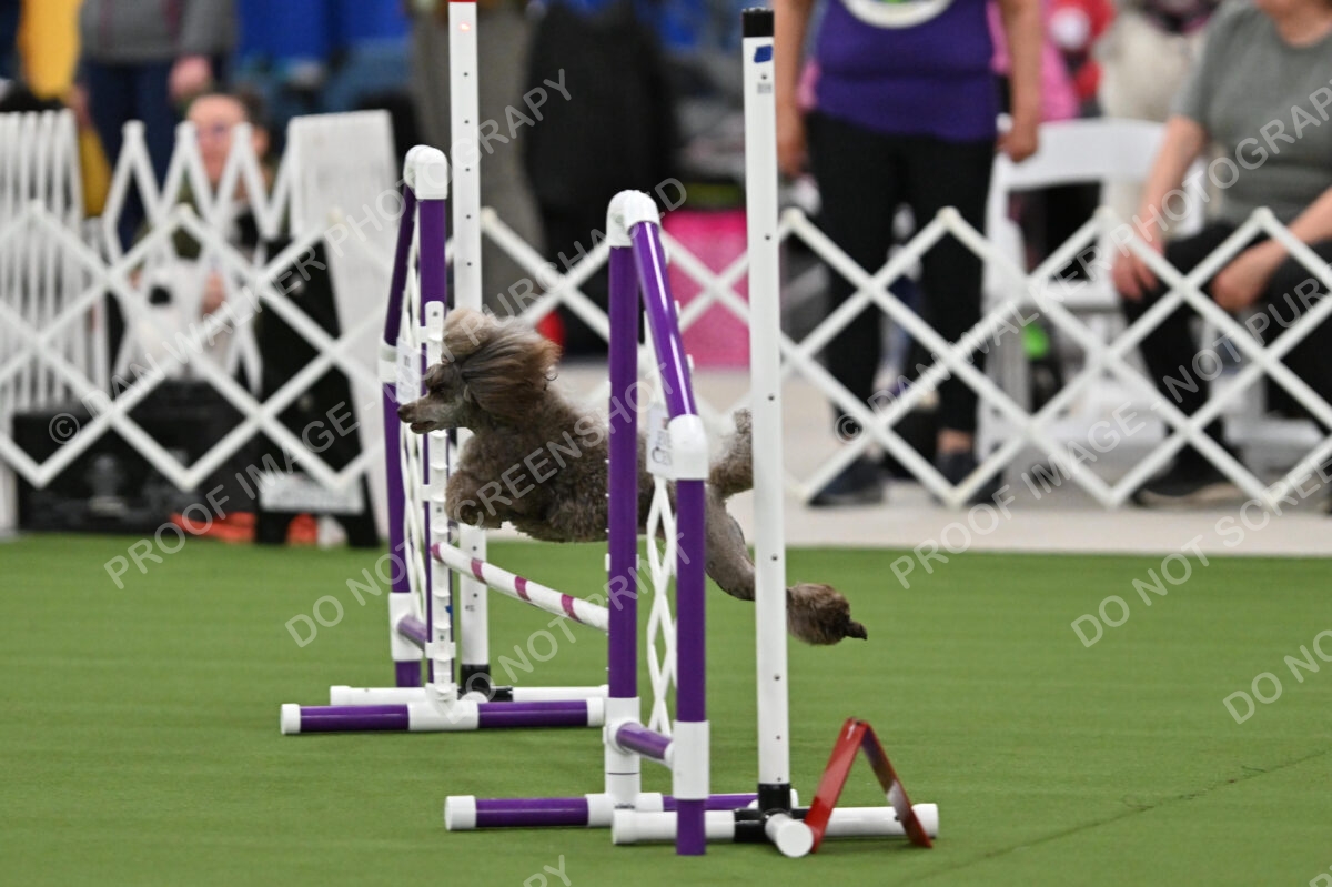 MAS-EX-STD-12-Inch_5858