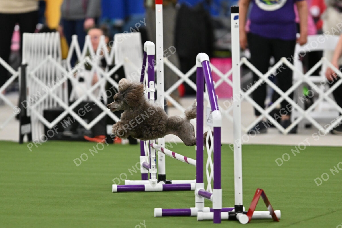 MAS-EX-STD-12-Inch_5859