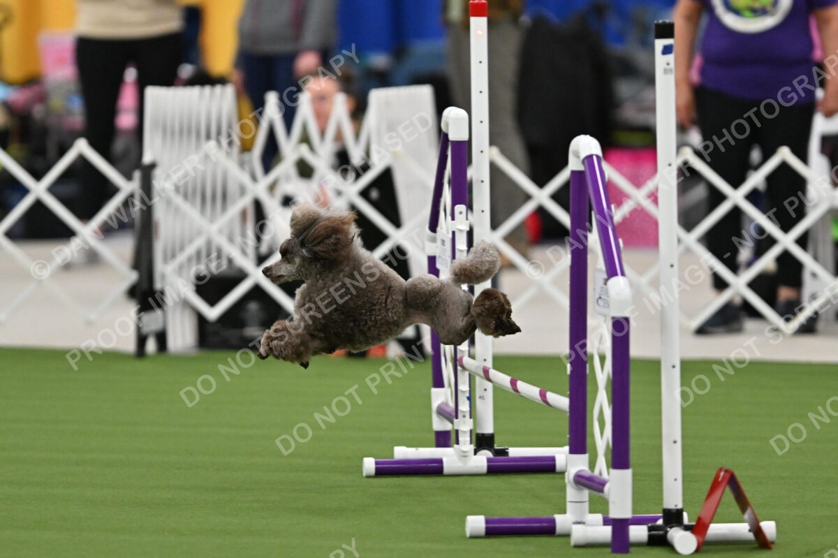 MAS-EX-STD-12-Inch_5860