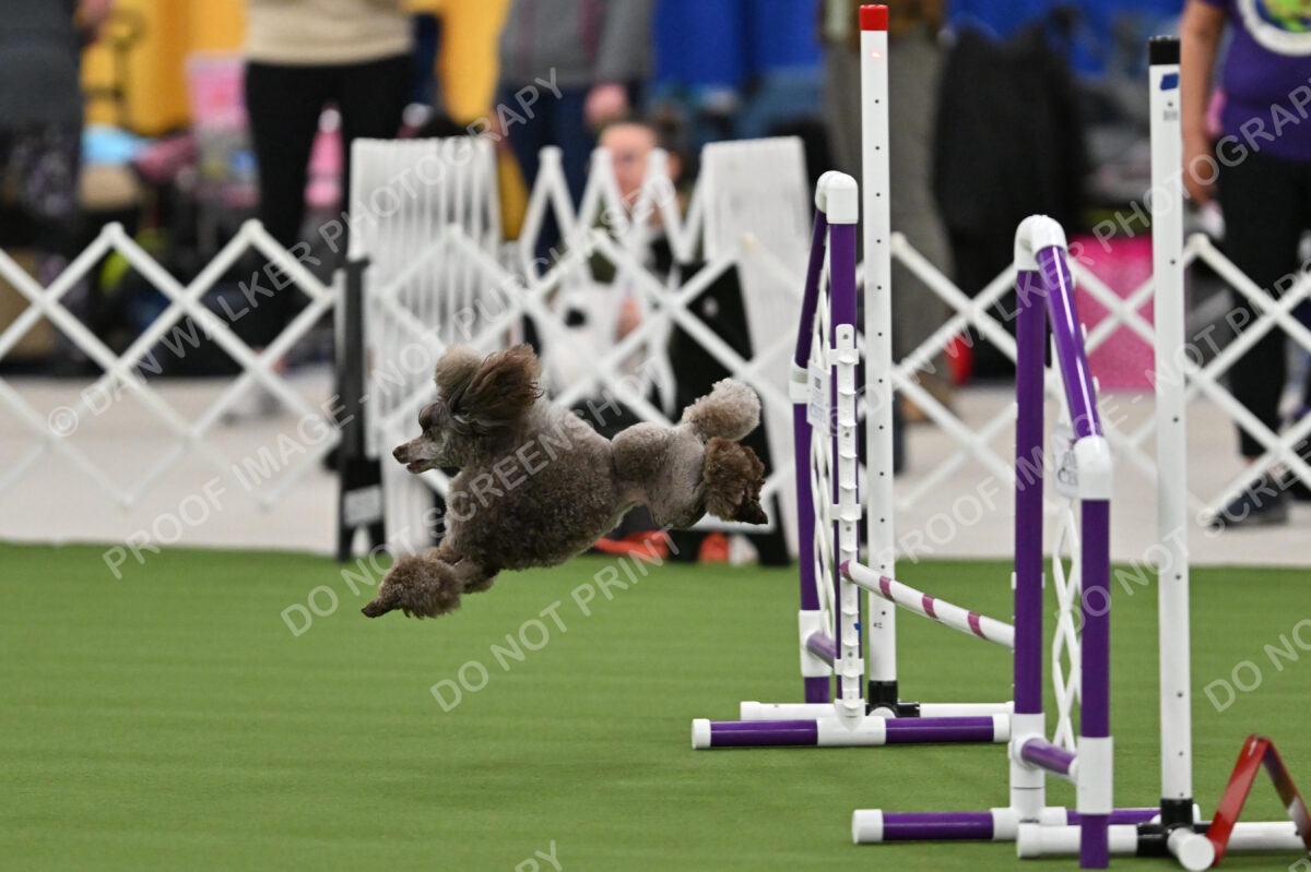 MAS-EX-STD-12-Inch_5861