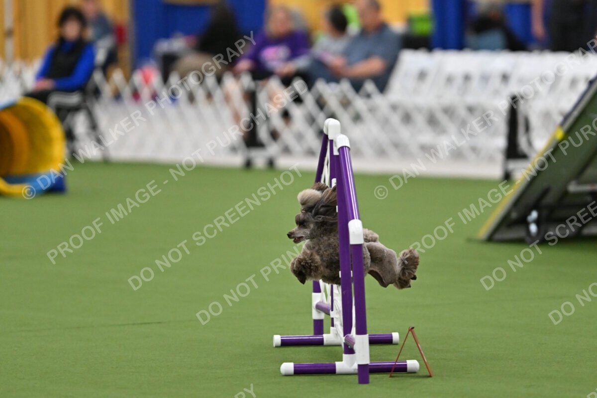 MAS-EX-STD-12-Inch_5865