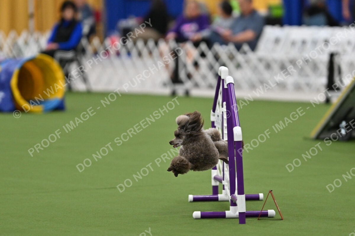 MAS-EX-STD-12-Inch_5866