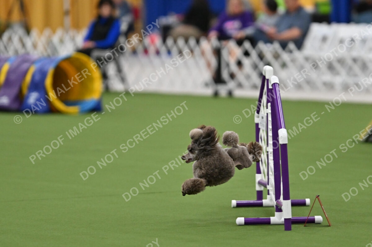 MAS-EX-STD-12-Inch_5867