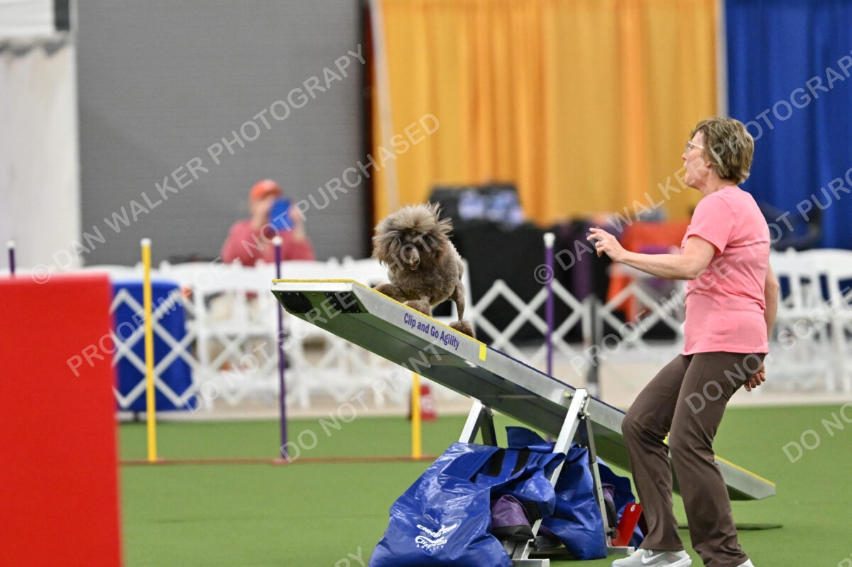 MAS-EX-STD-12-Inch_5870