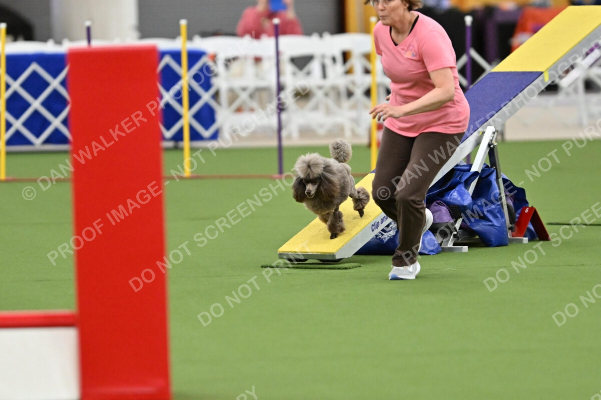 MAS-EX-STD-12-Inch_5877