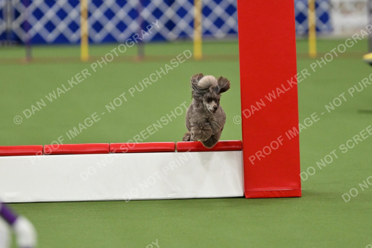 MAS-EX-STD-12-Inch_5886