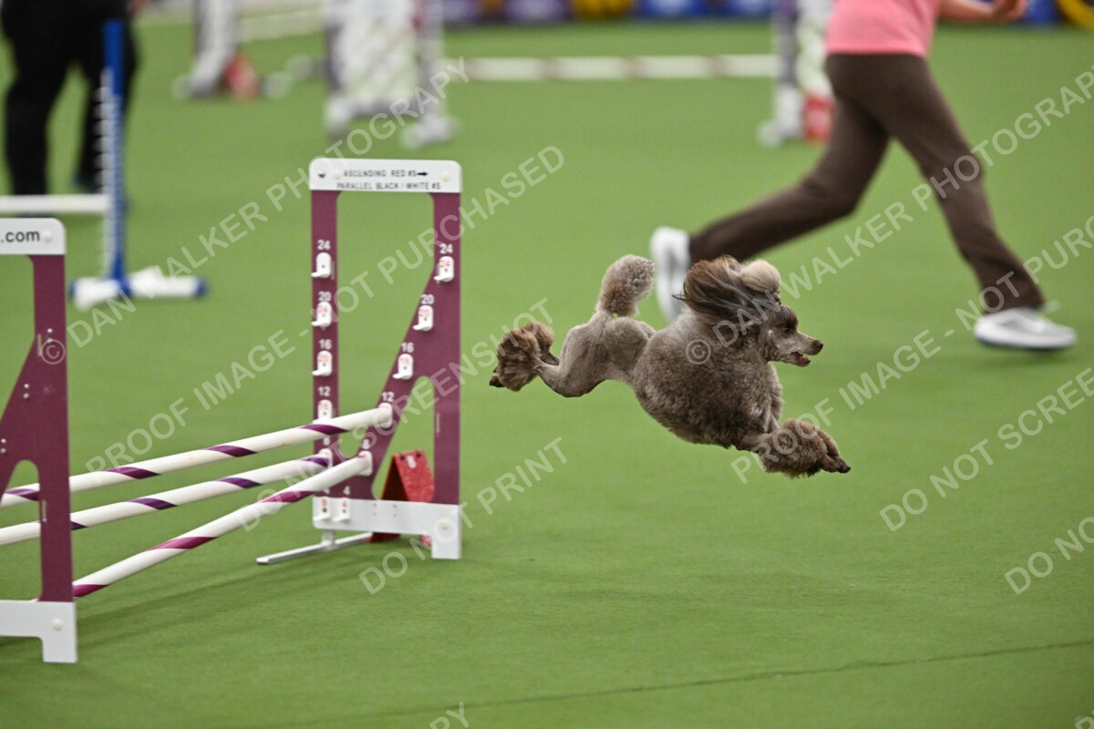 MAS-EX-STD-12-Inch_5895