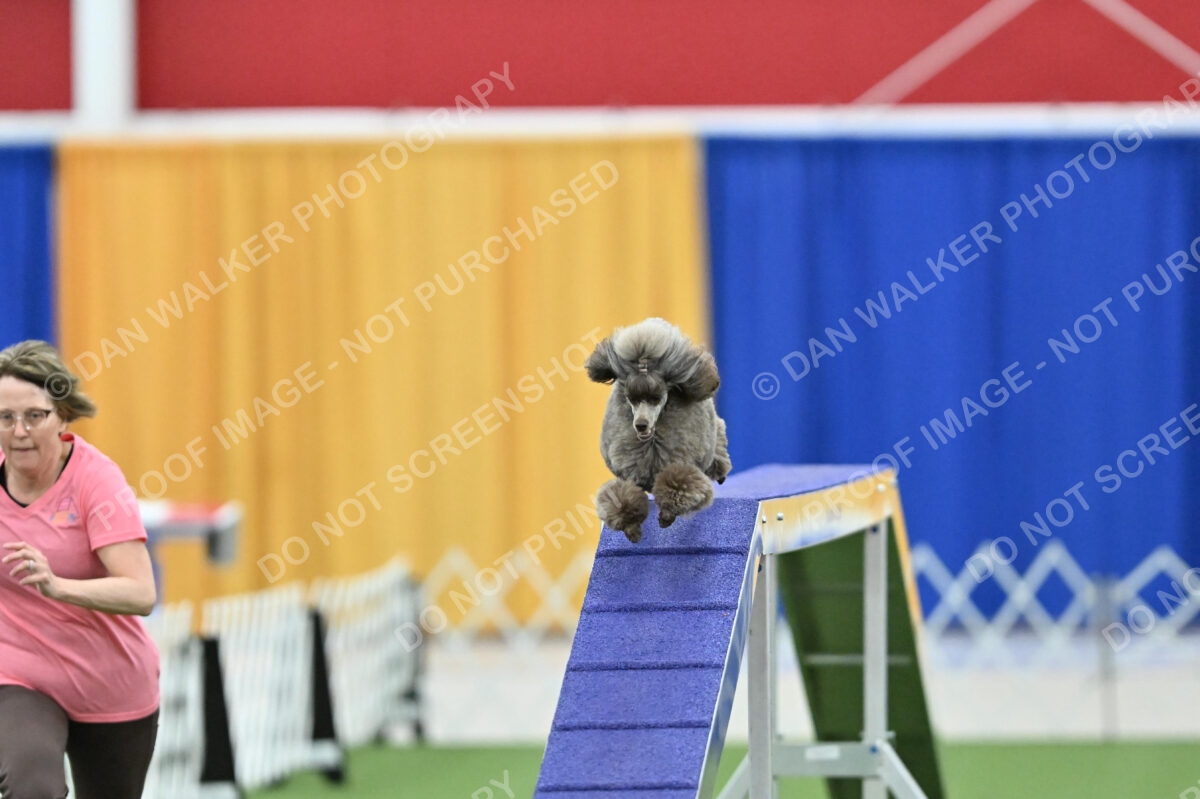 MAS-EX-STD-12-Inch_5898