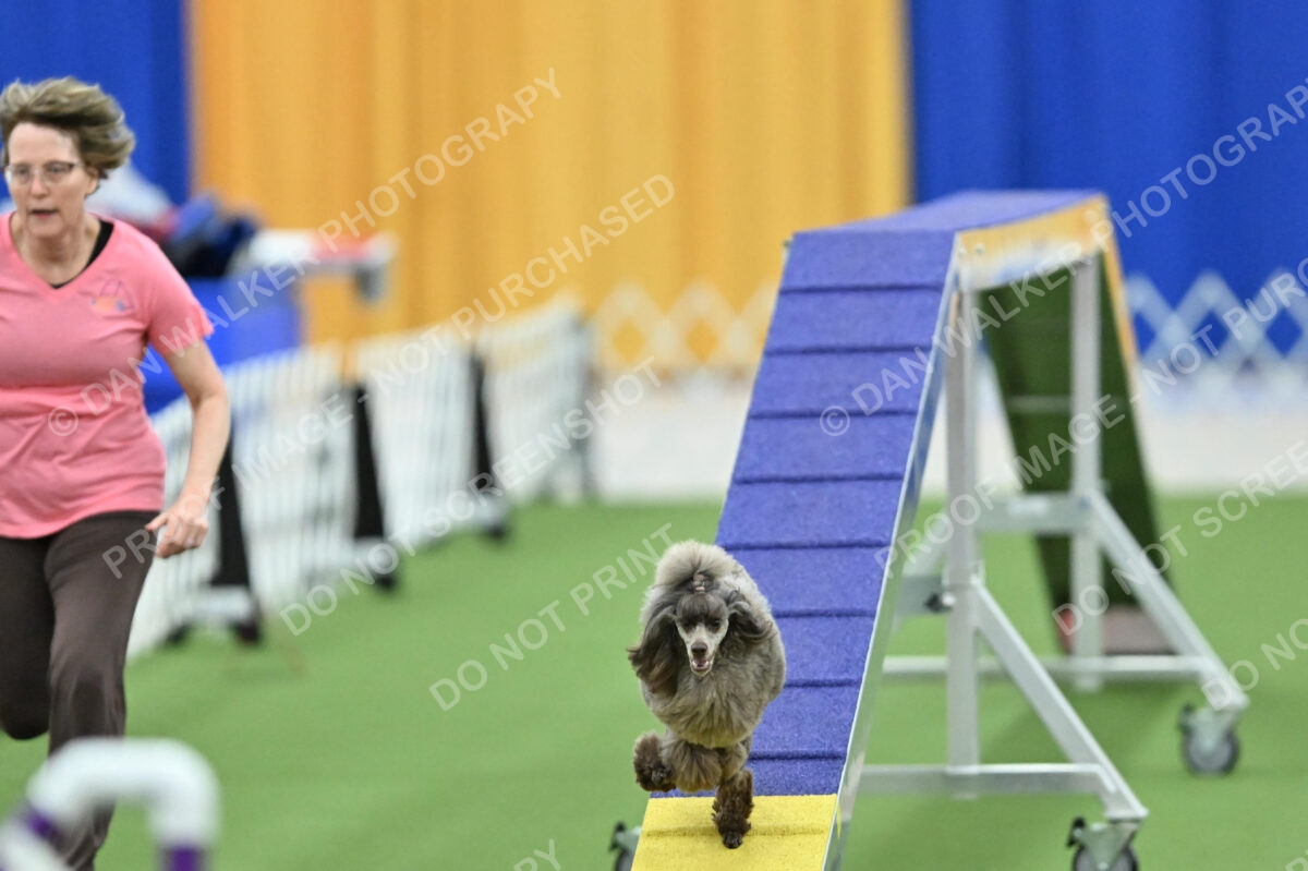 MAS-EX-STD-12-Inch_5902