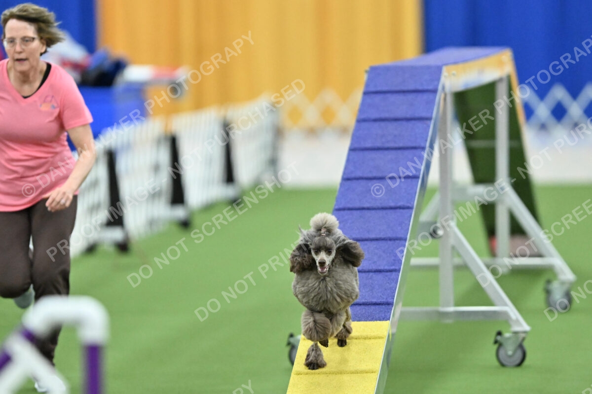 MAS-EX-STD-12-Inch_5903