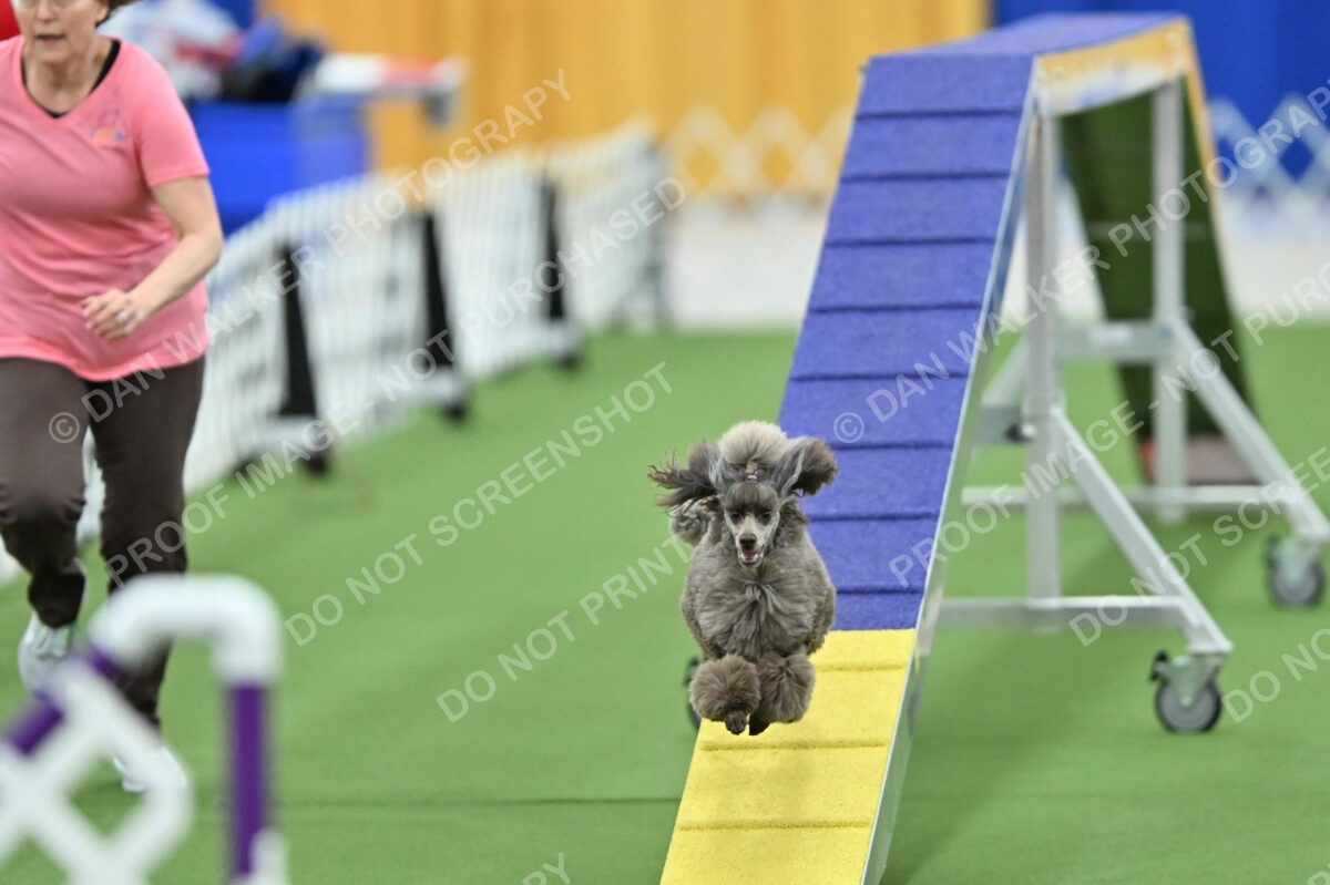 MAS-EX-STD-12-Inch_5904