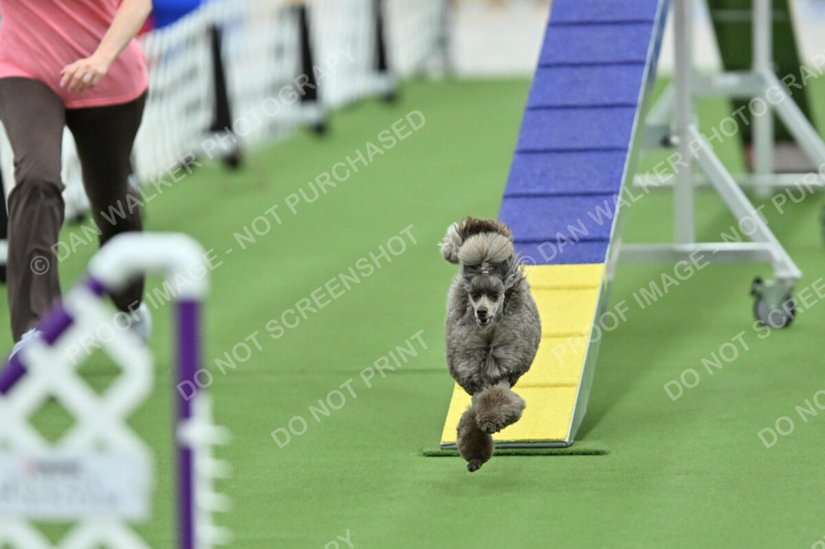 MAS-EX-STD-12-Inch_5906