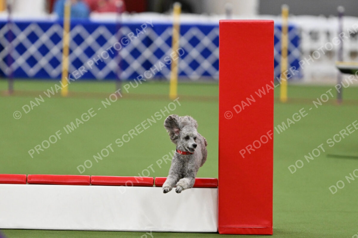 MAS-EX-STD-12-Inch_5922