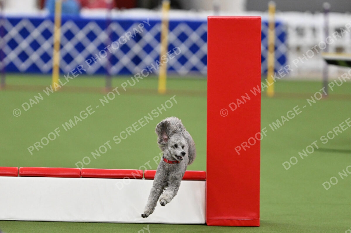 MAS-EX-STD-12-Inch_5923