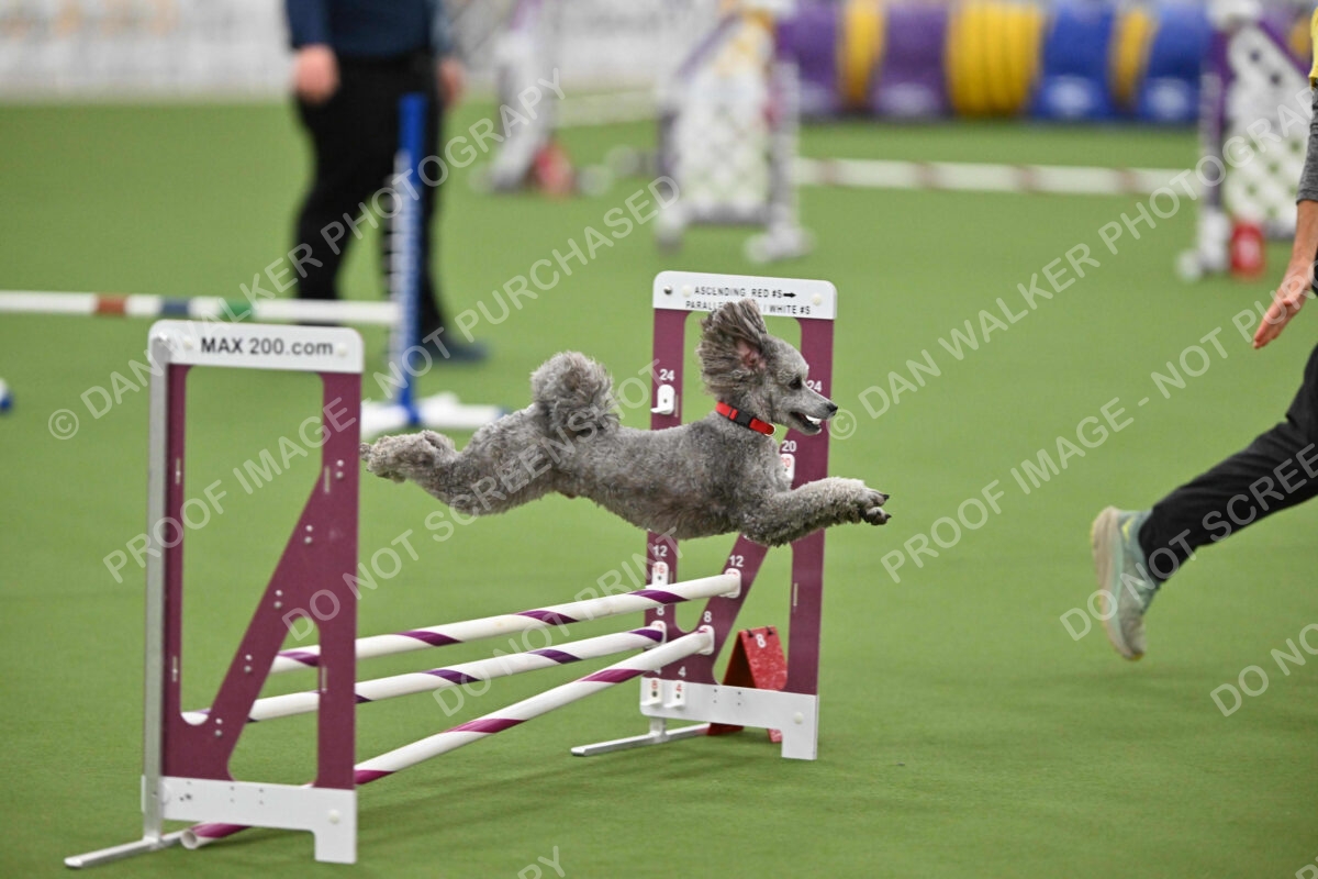 MAS-EX-STD-12-Inch_5929