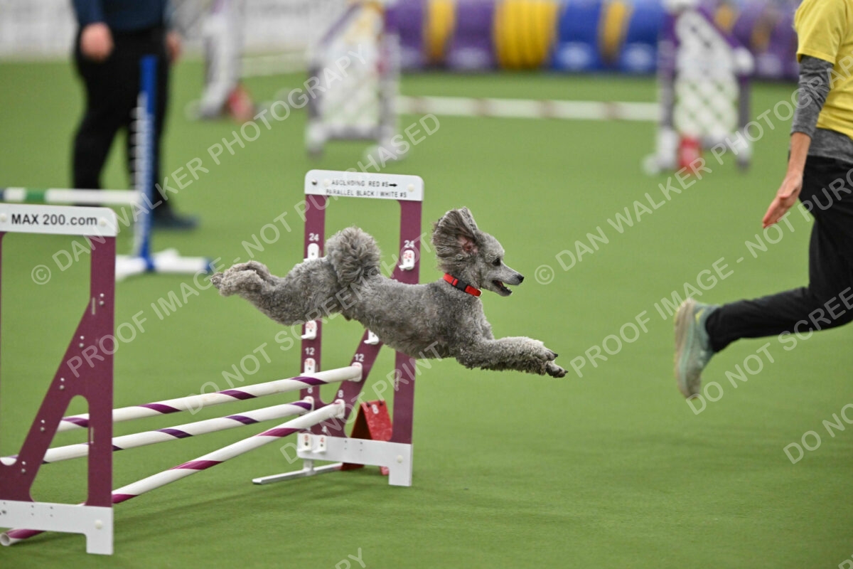 MAS-EX-STD-12-Inch_5930