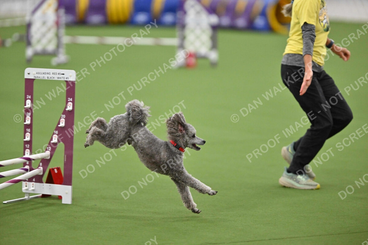 MAS-EX-STD-12-Inch_5932