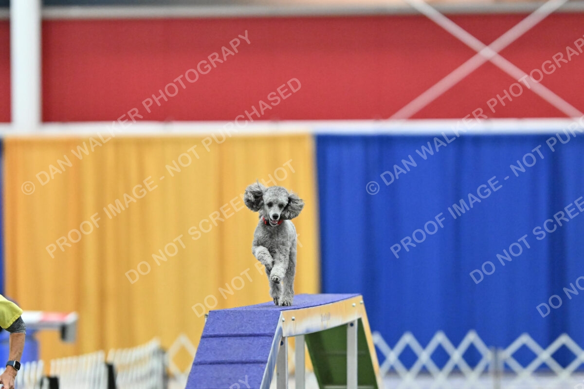 MAS-EX-STD-12-Inch_5933