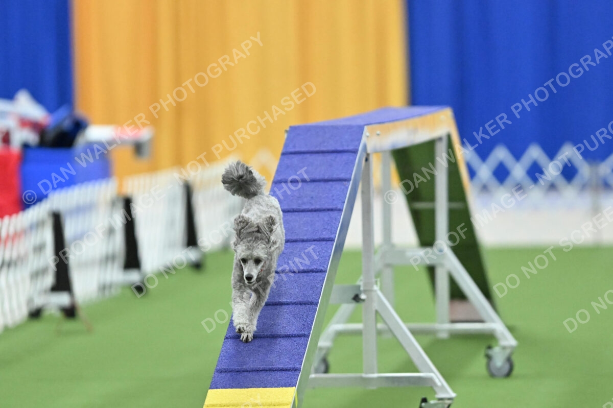 MAS-EX-STD-12-Inch_5937