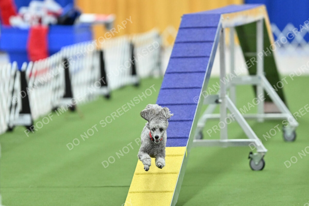 MAS-EX-STD-12-Inch_5940